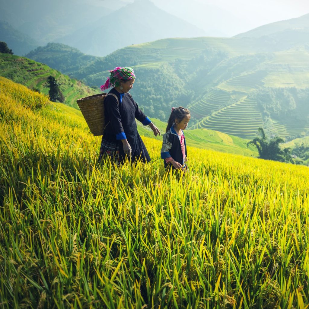 sapa-group-tour
